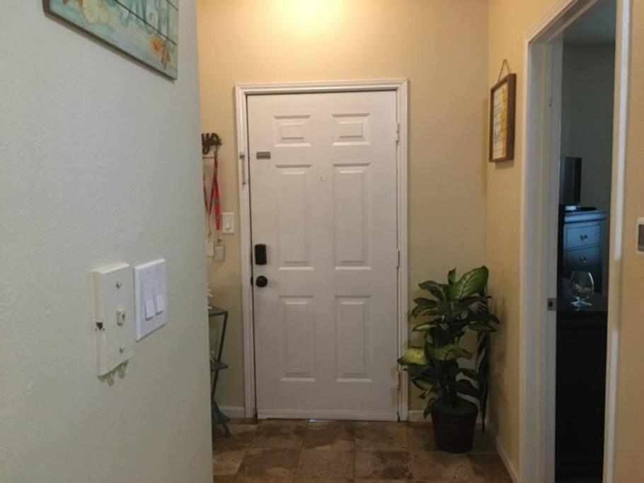 Condo In Clearwater Minutes From Clearwater Beach Exterior foto